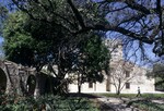 The Alamo (Mission San Antonio de Valero) by Jay C. Henry