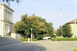 University of Texas, Main Building by Jay C. Henry