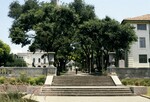 University of Texas, South Mall by Jay C. Henry