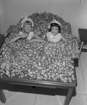 Marib Allbright, left, and Martha Denton, queens of the City Wide Easter Egg Hunt, up to their elbows in candy eggs, Arlington, Texas