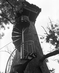 Spiral staircase on tree house ride at Six Flags Over Texas