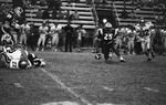 Lamar High School Viking's football action