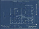 Survey Plat of Summit Grove Addition of Owen Medlin Survey