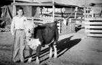 Young teenager next to a calf by Basil Clemons 1887-1964