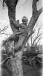 A child in a tree by Basil Clemons 1887-1964