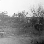 Paper Negatives, (Primarily Portraits), undated by Basil Clemons 1887-1964