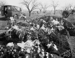 Oaklawn Cemetery, Breckenridge, Texas by Basil Clemons 1887-1964