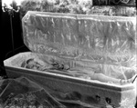 Child lies in a coffin, Thompson-Kiker Funeral Home by Basil Clemons 1887-1964