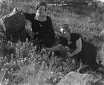 Field of Texas bluebonnets. by Basil Clemons 1887-1964