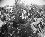 Woman posing in a garden by Basil Clemons 1887-1964