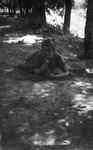 A woman on a picnic blanket by Basil Clemons 1887-1964