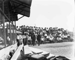 Rodeos, 1922-1947, undated by Basil Clemons 1887-1964