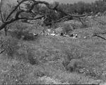 People lounging in field by Basil Clemons 1887-1964