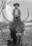 Portrait of a boy on a bull by Basil Clemons 1887-1964