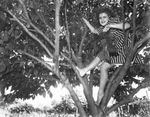 Women (Candid portraits), 1925-1947, undated by Basil Clemons 1887-1964