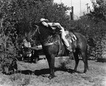 Portrait of a woman and a horse by Basil Clemons 1887-1964