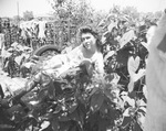 Women (Candid portraits), 1925-1947, undated by Basil Clemons 1887-1964