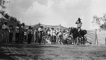 A cowboy performs at a rodeo by Basil Clemons 1887-1964