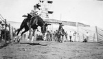 A cowboy rides a bucking bronco by Basil Clemons 1887-1964