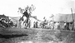 A cowboy rides a bucking bronco by Basil Clemons 1887-1964