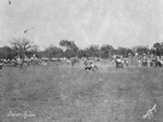 Stoker Rodeo by Basil Clemons 1887-1964