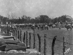 Stoker Rodeo by Basil Clemons 1887-1964