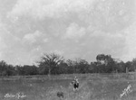 Stoker Rodeo by Basil Clemons 1887-1964