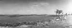 Picknickers take advantage of a view of Possum Kingdom Lake by Basil Clemons 1887-1964