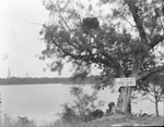 A sign nailed to a tree above a lake reads "Positively no bathing allowed for sanitary reasons, Walker Caldwell Water Co." by Basil Clemons 1887-1964