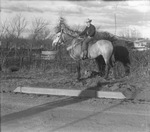 A young man posing on a saddled horse by Basil Clemons 1887-1964