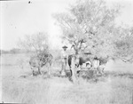 A man and several cows seeking shade underneath Mesquite trees by Basil Clemons 1887-1964