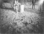 Rattlesnakes corraled on the ground by Basil Clemons 1887-1964