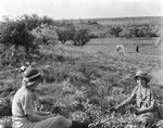 A Texas flower garden at Breckenridge by Basil Clemons 1887-1964