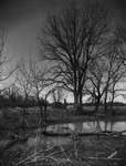 A marshy area near oil derricks by Basil Clemons 1887-1964