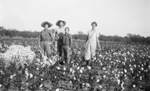 Family standing in a cotton field by Basil Clemons 1887-1964