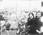 An elderly couple and a young woman pose next to a small flowering tree by Basil Clemons 1887-1964