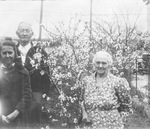 An elderly couple and a young woman pose next to a small flowering tree by Basil Clemons 1887-1964