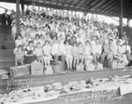 Basket dinner to the Lions of Breckenridge by Stephens Co[unty] by Basil Clemons 1887-1964