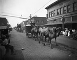 Circus parade moving through the downtown area of a city not identified by Basil Clemons 1887-1964