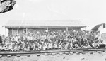 Boy Scouts and Sea Scouts, Breckenridge, Texas by Basil Clemons 1887-1964