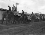 Circus performers and elephant handlers ride several elephants by Basil Clemons 1887-1964