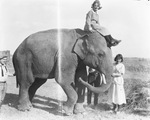 Two young women and two men with an elephant by Basil Clemons 1887-1964