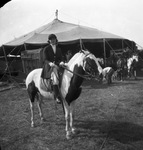 Circus performer astride a paint horse by Basil Clemons 1887-1964