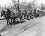 De Graftenreid Brothers by Basil Clemons 1887-1964