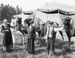 Camels and handlers by Basil Clemons 1887-1964