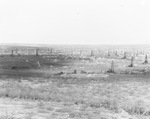 Oil field crowded with oil derricks; photo labeled "East," near Breckenridge, Texas by Basil Clemons 1887-1964