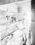 Unidentified man stands in open jail cell, Breckenridge, Texas by Basil Clemons 1887-1964