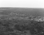 Aerial view of tree covered landscape with a few dwellings and tents, near oil field, Stephens County, Texas, undated by Basil Clemons 1887-1964