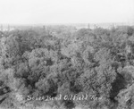 South Bend oil field, derricks scattered among the trees, Texas by Basil Clemons 1887-1964