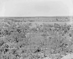 Lydon-Eliasville oil field by Basil Clemons 1887-1964